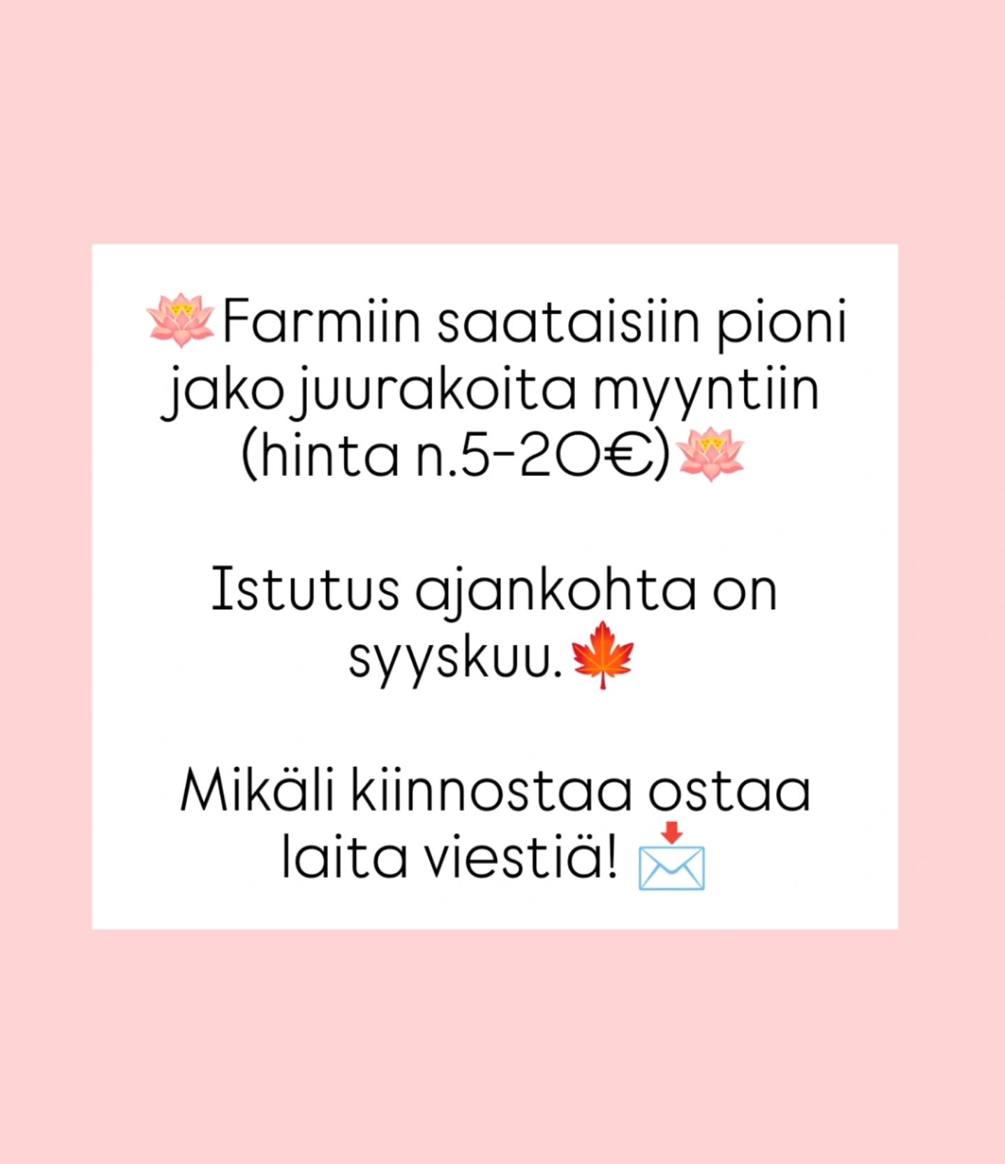 Huomenna 8.9 farmimarket klo 17-19 🪷Farmiin saataisiin pioni jako juurakoitan myyntiin (hinta n.5-20€)🪷 Istutus ajankohta…